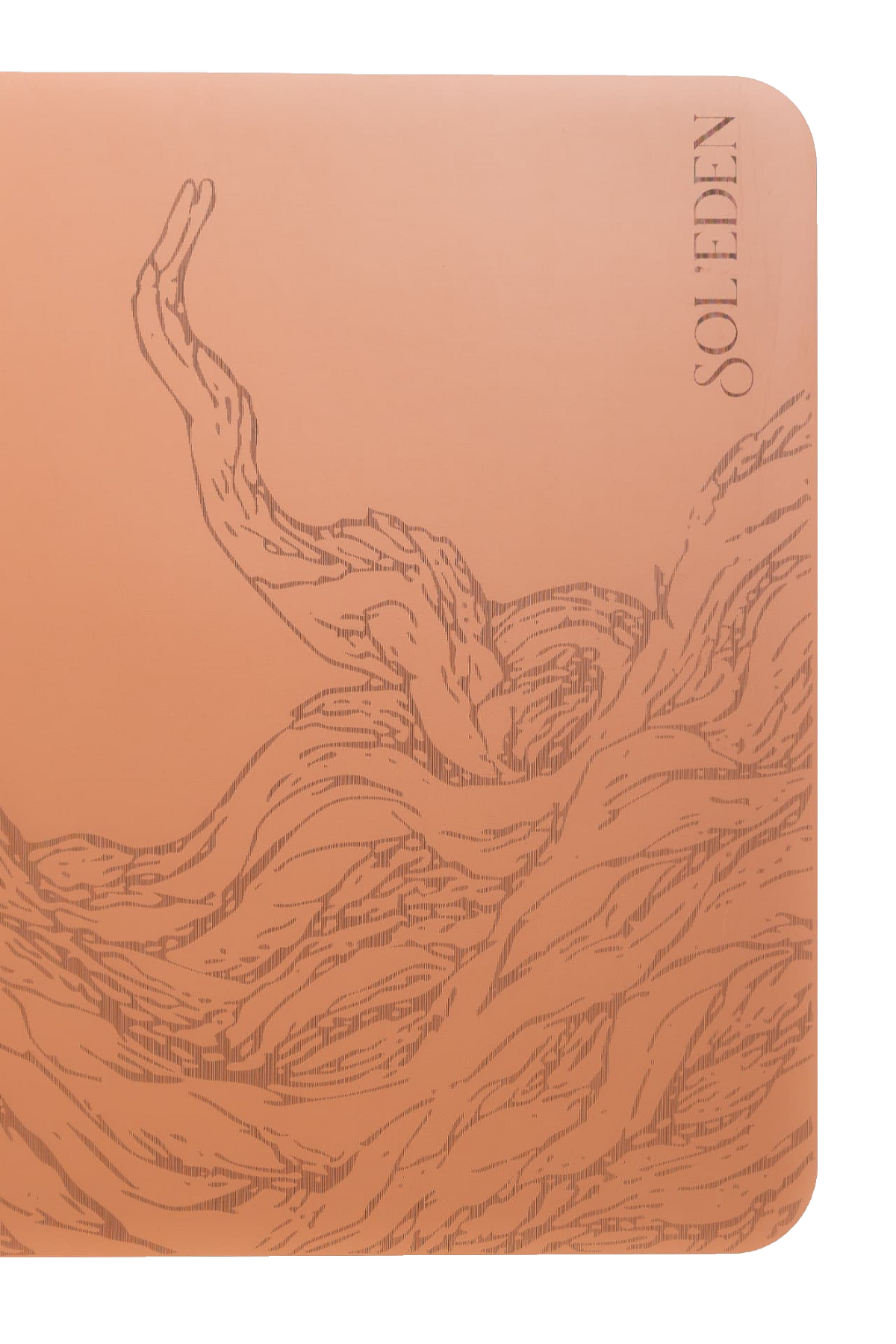 Tree detail
